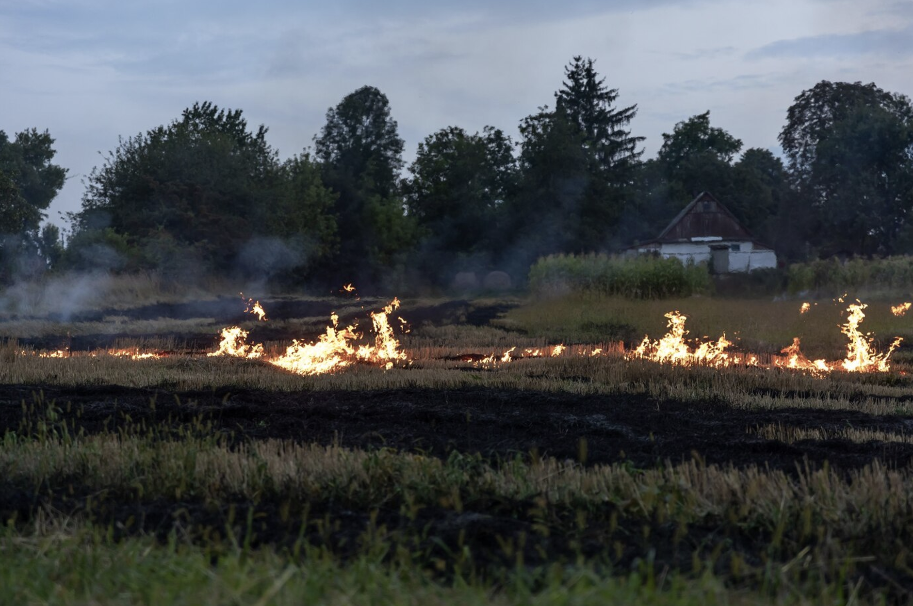 La crisis climática alarga la temporada de incendios forestales: qué hacer para minimizar riesgos