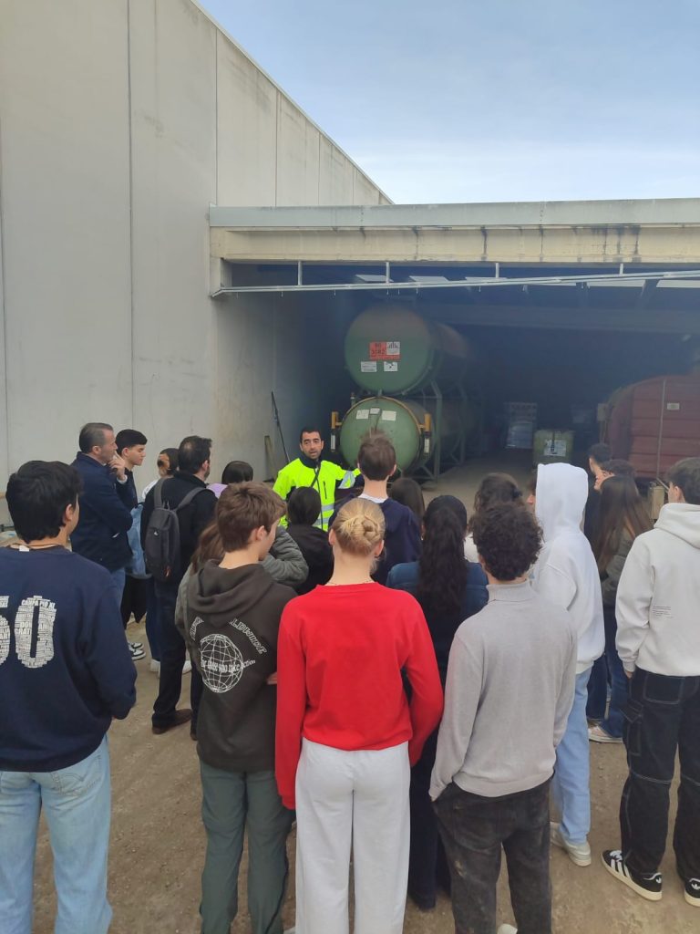 Soñamos bosque educación forestal