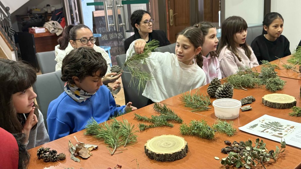 Cuenca Resuena talleres de educación forestal